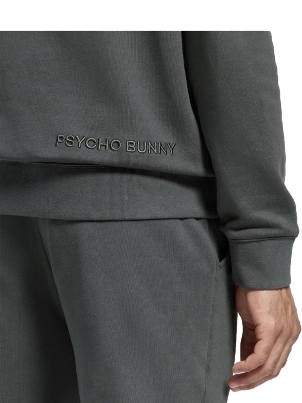 NWT Psycho Bunny Pierce Embroidered Classic French Terry Hoodie (Small) - Picture 4 of 5